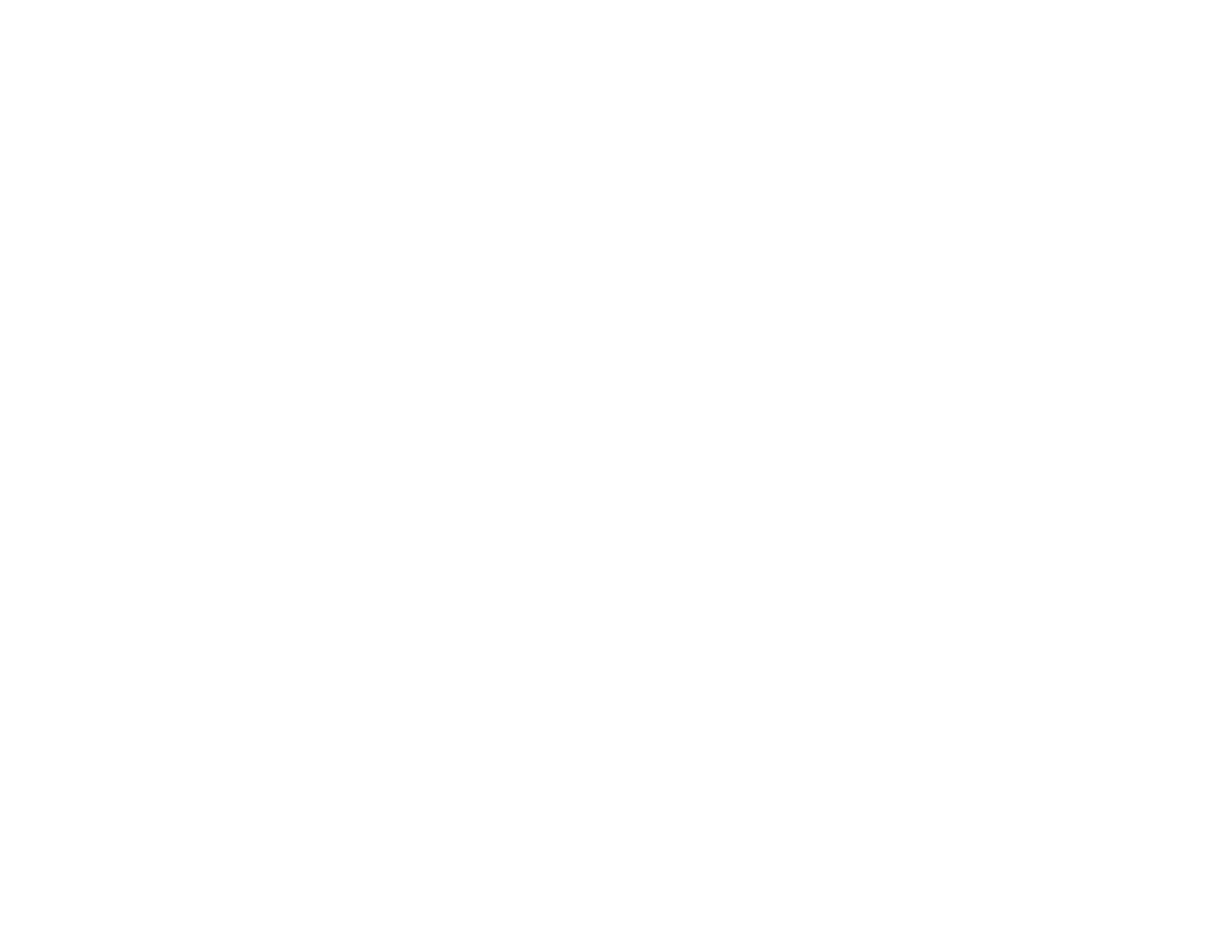 viva-vitality logo